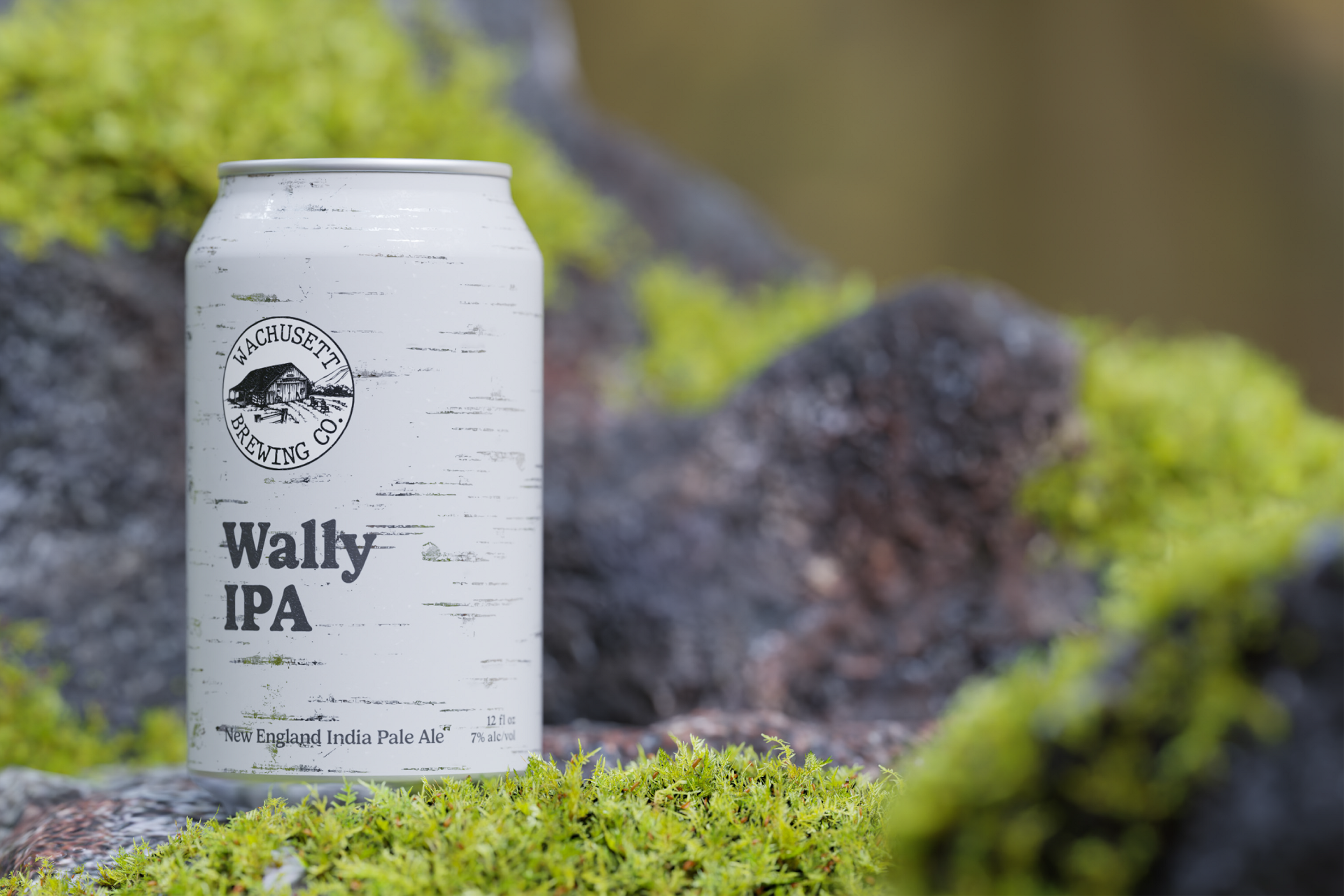 Wally IPA Beer Can 3D Render