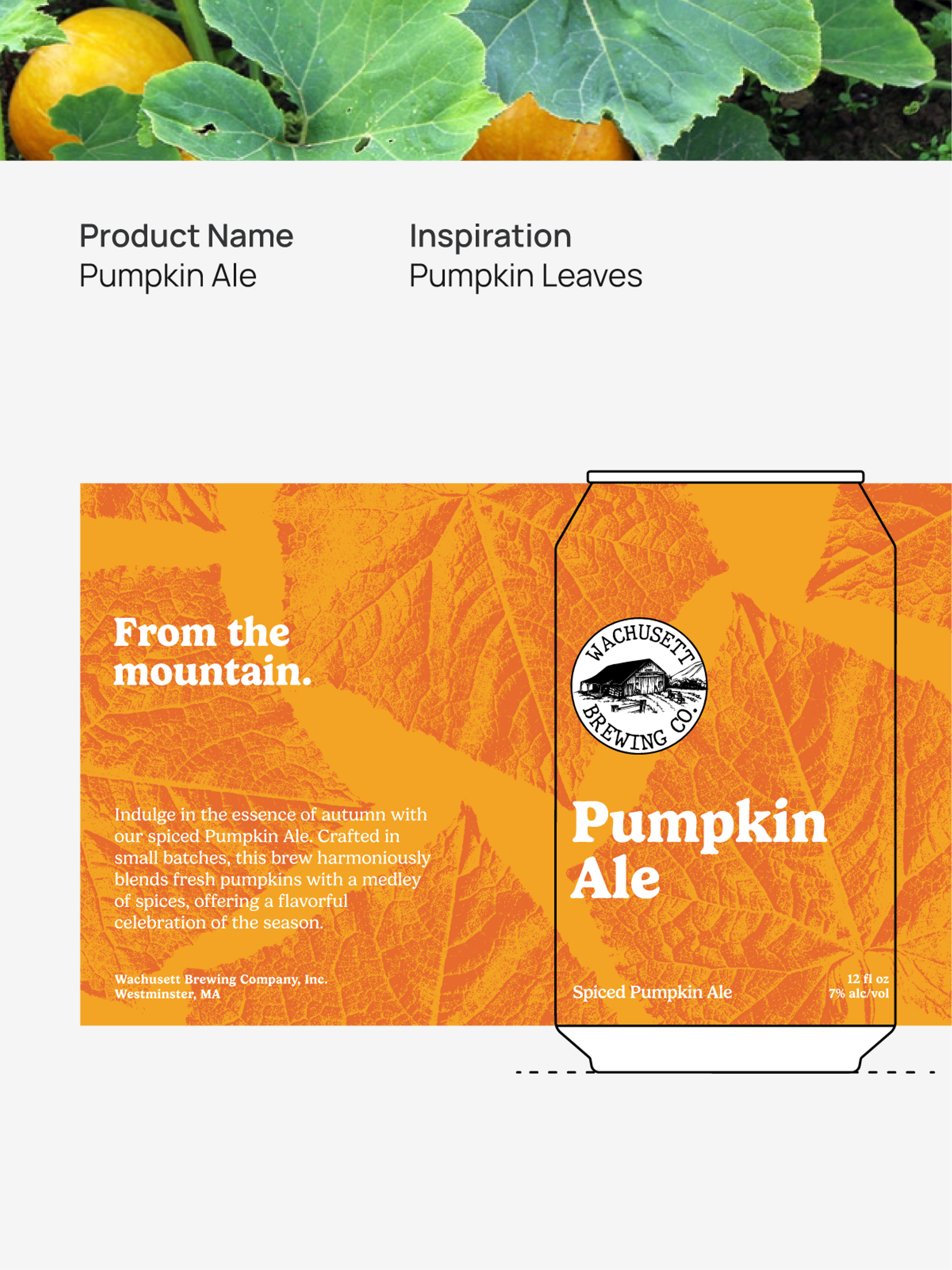 Pumpkin Ale Design Information