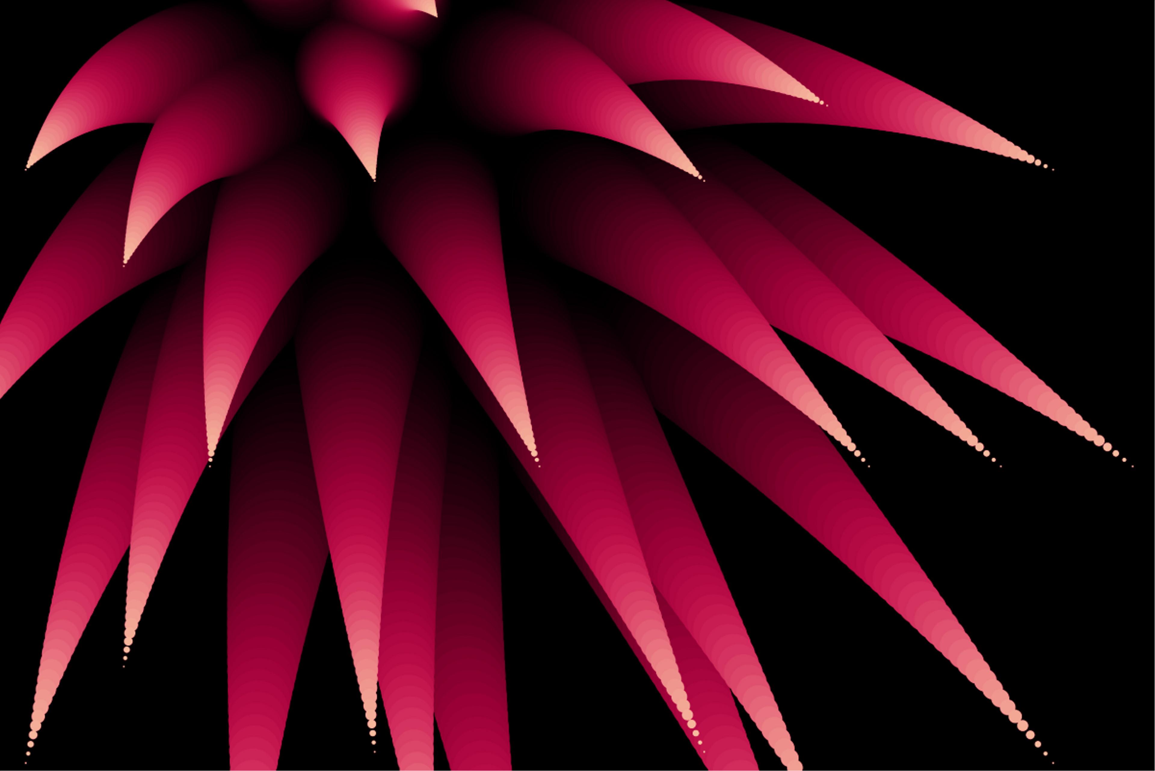 Generative Artwork Cover (Firework Crop)