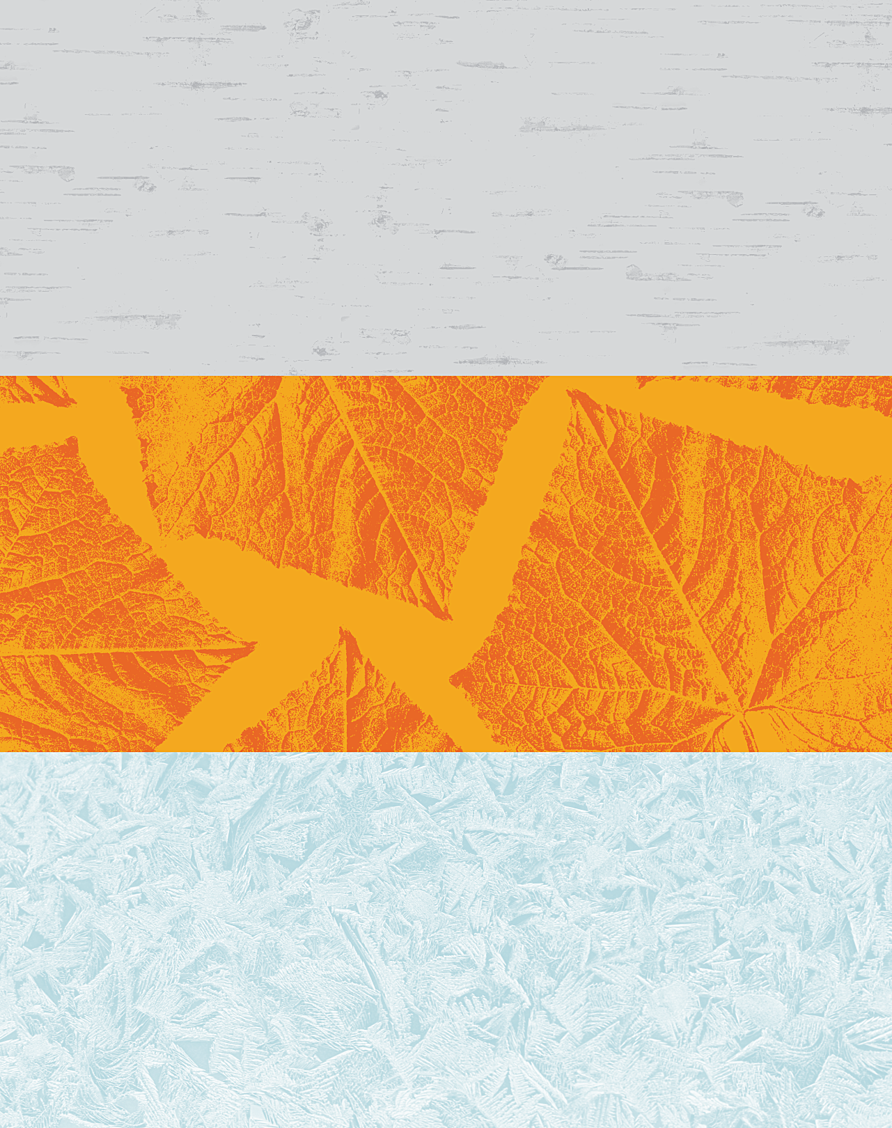 Watchusett Brewing Co Patterns