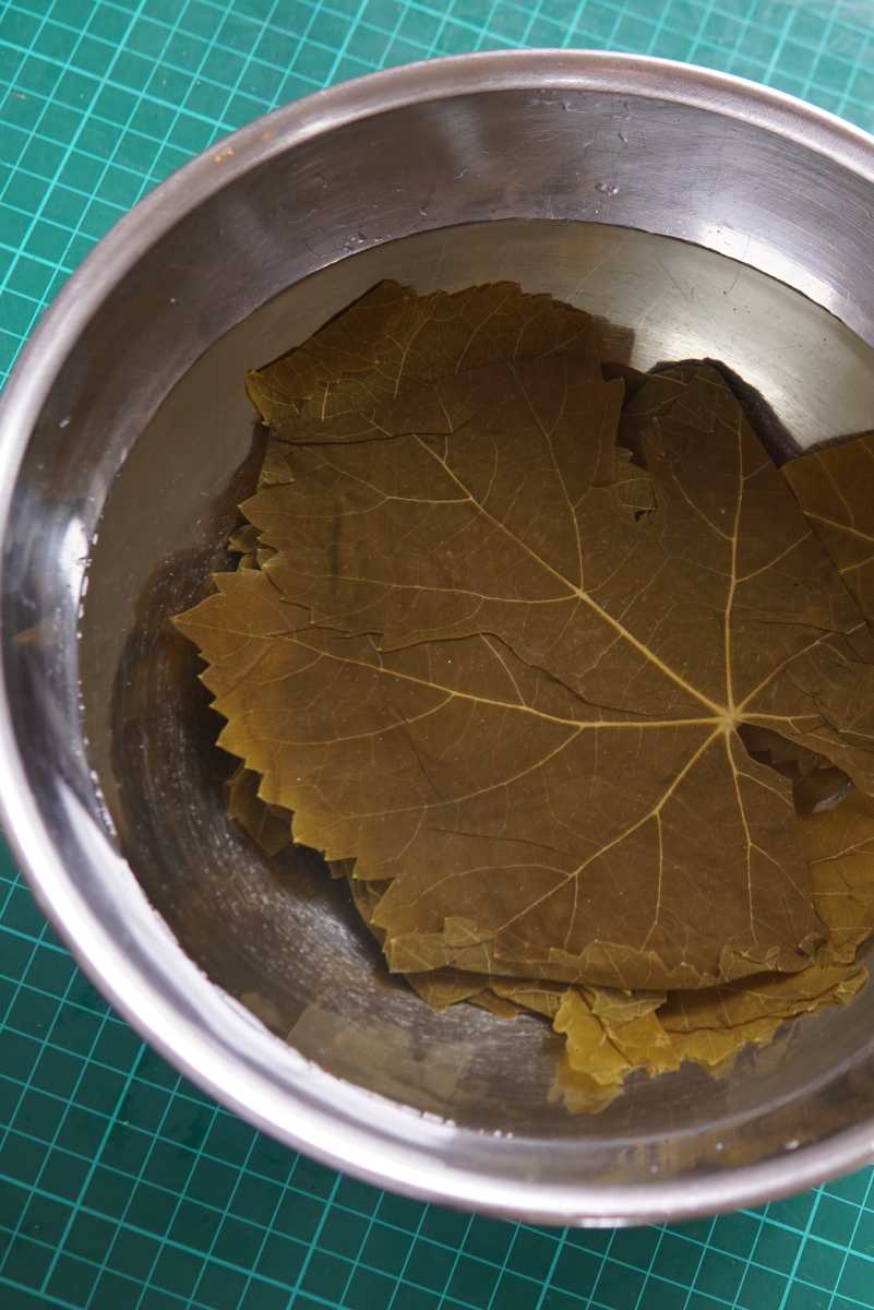 Leaf Poster Making of 2