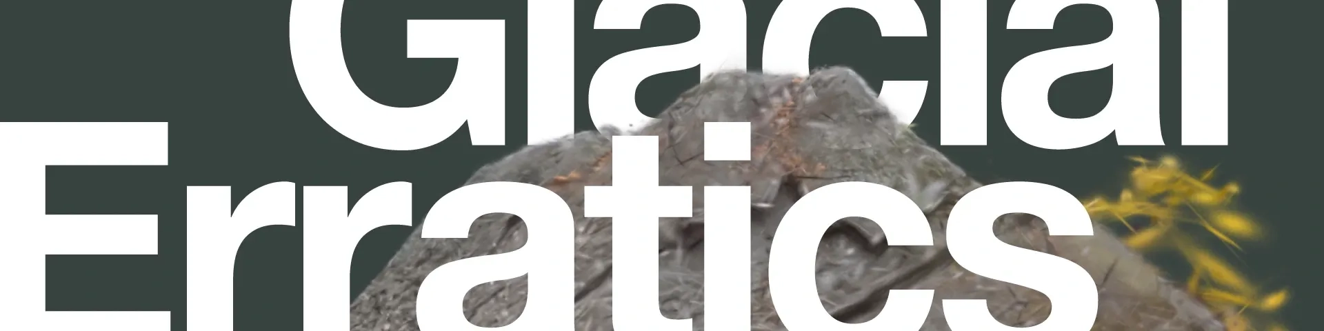 Next Project 3D Scan Posters